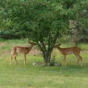 Meet your Posher, Kathy
